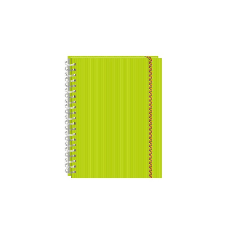CUADERNO PROFESIONAL ARCOIRIS 100H