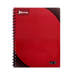 CUADERNO PROFESIONAL DO UNO 100H