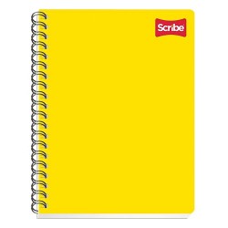 CUADERNO PROFESIONAL CLASICO 100H