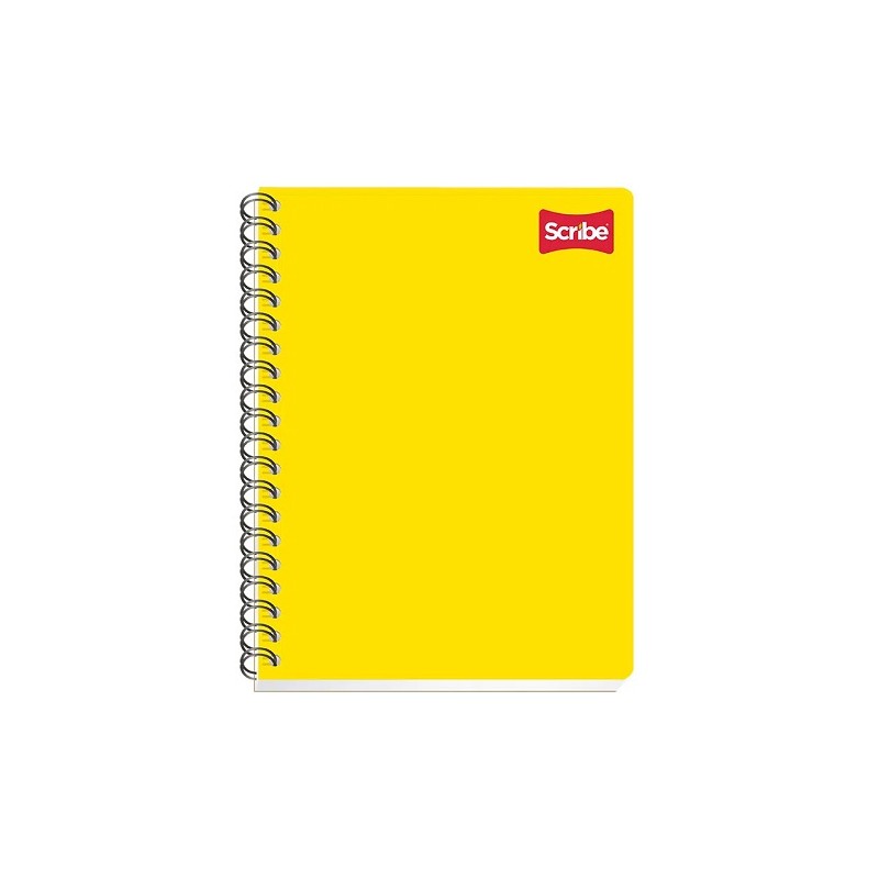CUADERNO PROFESIONAL CLASICO 100H