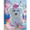 CUADERNO PROFESIONAL DOG RAYA 100H