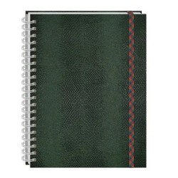 CUADERNO PROFESIONAL COBRA 100H