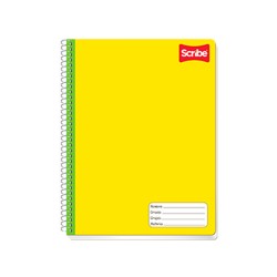 CUADERNO PROFESIONAL ESCOLAR 100H