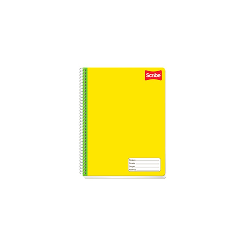 CUADERNO PROFESIONAL ESCOLAR 100H