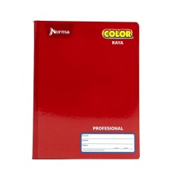 CUADERNO PROFESIONAL COSIDO 100H