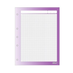 HOJAS DE REPUESTO PARA CARPETA CARTA 100H