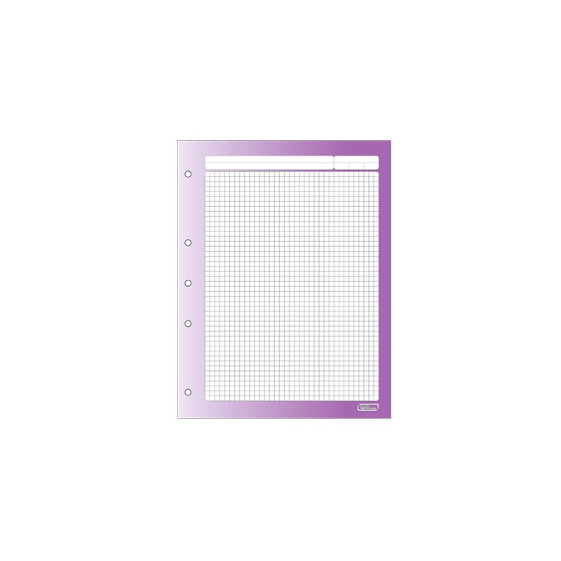 HOJAS DE REPUESTO PARA CARPETA CARTA 100H