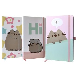 LIBRETA DE NOTAS MEDIUM 13X21CM 240 PAG PUSHEEN