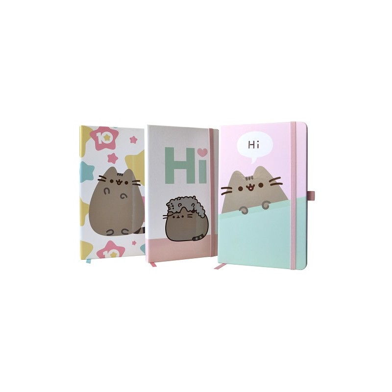 LIBRETA DE NOTAS MEDIUM 13X21CM 240 PAG PUSHEEN