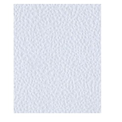 PAPEL CASCARON 1/2 56X69CM