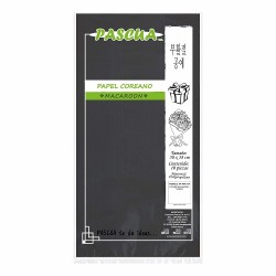 PAPEL COREANO MACARRON 10 PZ