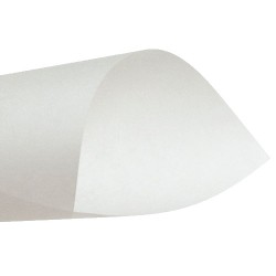 PAPEL MANTEQUILLA 43GR 61X91CM