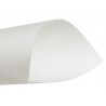PAPEL MANTEQUILLA 43GR 61X91CM