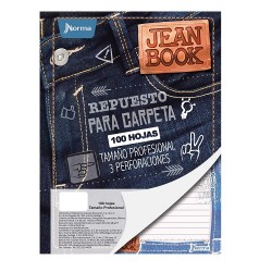 REPUESTO P/CARPETA PROFESIONAL 100H