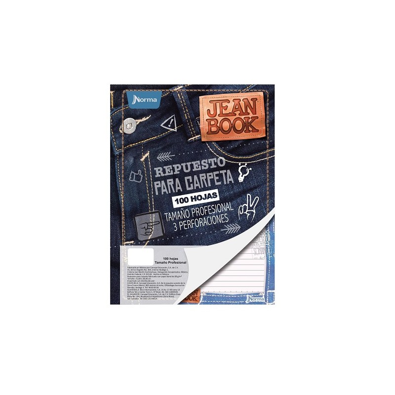 REPUESTO P/CARPETA PROFESIONAL 100H