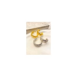 Arracada Espiral Grande