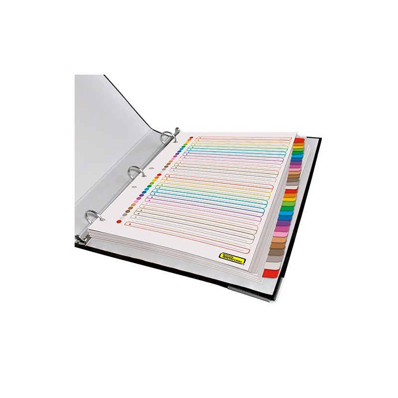 SEPARADORES POPULARES CON 31 PESTAÑAS