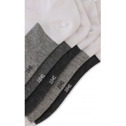 Pack 5 Calcetines Cortos