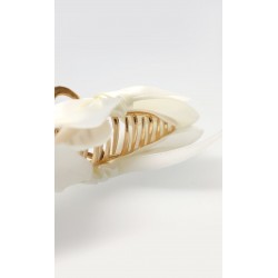 Pinza Para Cabello Moño