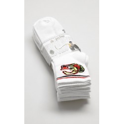 Paquete Calcetines Harry Potter