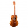 Ukulele Martin T1K