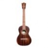 Ukulele T1 StreetMaster