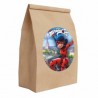 12 Bolsas de dulces Ladybug