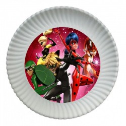 12 Platos ladybug