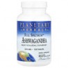 Planetary Herbals, Full Spectrum, Ginseng indio de espectro completo, 570mg, 120comprimidos