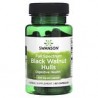 Swanson, Cáscaras de nuez negra de espectro completo, 500 mg, 60 cápsulas