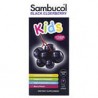 Sambucol, Jarabe de saúco negro para niños, De 2años en adelante, Baya, 120ml (4oz.líq.)