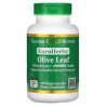 California Gold Nutrition, EuroHerbs, Extracto de hoja de olivo, Calidad Euromed, 500mg, 180cápsulas vegetales