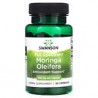 Swanson, Moringa oleifera de espectro completo, 400 mg, 60 cápsulas