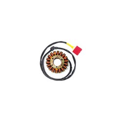 ESTATOR DOMINAR 400 V1