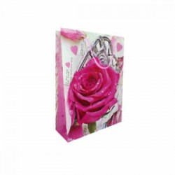 1pza Bolsa de regalo chica de plástico, variedad de diseños 24x18cm / R508