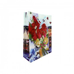 1pza Bolsa de regalo chica de plástico, variedad de diseños 24x18cm / R508