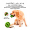 Pelota de limpieza dental para mascotas mas.05.2