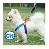 Juego con correa de 1.2 metros y pechera multicolor talla chica para mascota / mas.25.s