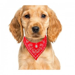 1pza Collar bandana paliacate pañuelo ajustable talla chica para mascota 30cm, variedad de colores / mas.23.1.*30