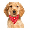 1pza Collar bandana paliacate pañuelo ajustable talla chica para mascota 30cm, variedad de colores / mas.23.1.*30