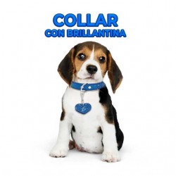 Collar ajustable para mascotas con brillantina y dije de corazón talla M, variedad de colores / MAS.09.5.M