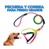 Juego con correa de 1.2 metros y pechera multicolor talla grande para mascota / mas.25.l