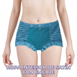Ropa interior calzoncillo de cintura alta con encaje para dama, variedad de colores y tallas / rop.49