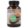 Cordyceps