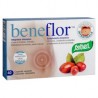 Beneflor Cápsulas
