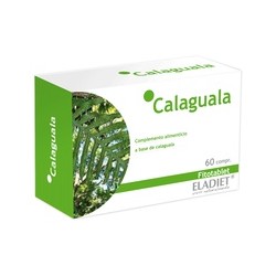 Calaguala