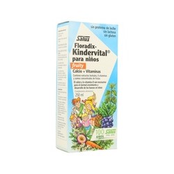 Floradix Kindervital fruity