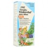 Floradix Kindervital fruity