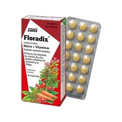 Floradix Hierro