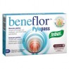 Beneflor Pylopass